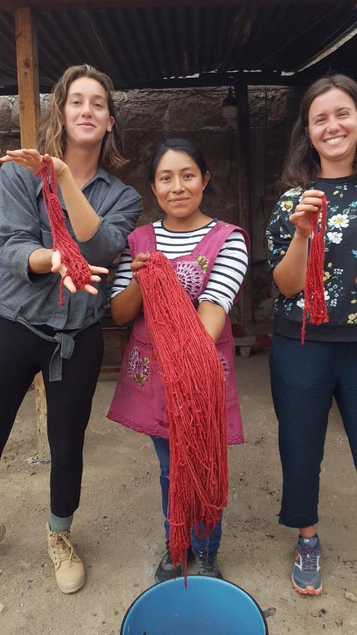 Lizu Tu Casa En Un Pueblo Zapoteca Bed & Breakfast Teotitlán del Valle Екстериор снимка
