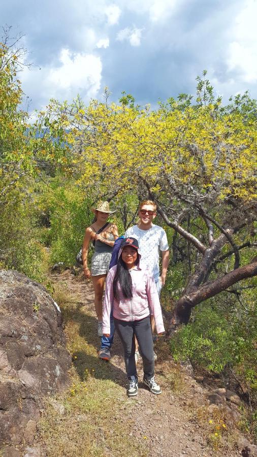 Lizu Tu Casa En Un Pueblo Zapoteca Bed & Breakfast Teotitlán del Valle Екстериор снимка